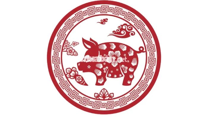 Tử vi của nữ mệnh Tân Hợi trong ba tháng đầu năm 2025