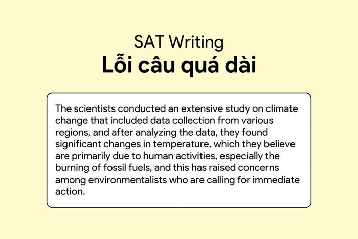 Lỗi câu quá dài trong SAT Writing