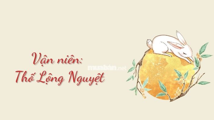 Nữ mạng tuổi Tân Mùi 1991 sẽ gặp vận niên Thố Lộng Nguyệt trong năm 2025, tượng trưng cho sự thanh thản và nhẹ nhàng. Đây là thời gian lý tưởng để gia chủ tập trung vào việc chăm sóc bản thân và củng cố những mối quan hệ quan trọng.