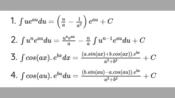 Fundamental integral formulas