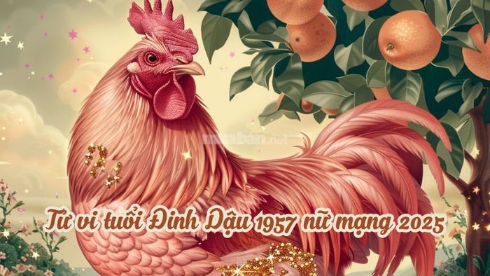 Tử vi nữ mạng Đinh Dậu 1957 năm 2025: Lưu ý về các vận hạn có thể ảnh hưởng
