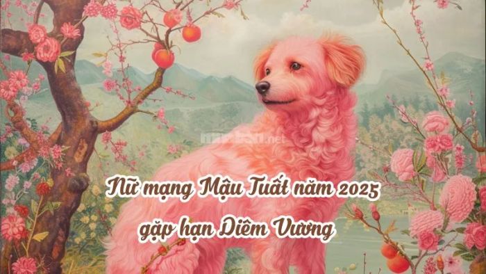 Năm Ất Tỵ, nữ mạng Mậu Tuất gặp hạn Diêm Vương, một hạn liên quan đến bệnh tật và sức khỏe, cần phải đề phòng và chăm sóc bản thân kỹ lưỡng.