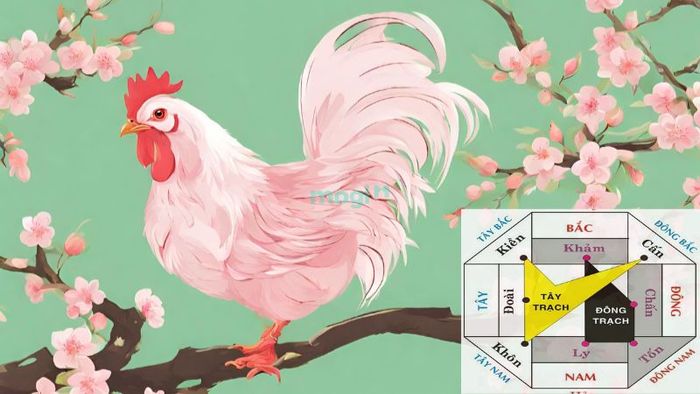 Hướng nhà phù hợp cho nữ mạng tuổi Kỷ Dậu 1969