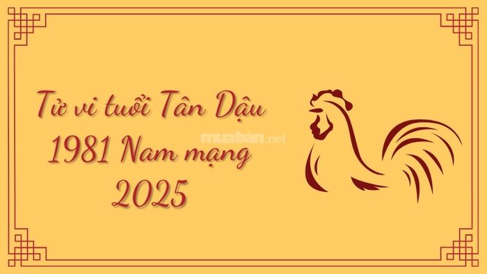 Tử vi tuổi Tân Dậu 1981 nam mạng năm 2025