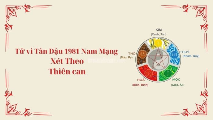 Horoscope for Tân Dậu 1981 Male in 2025 based on the Heavenly Stems