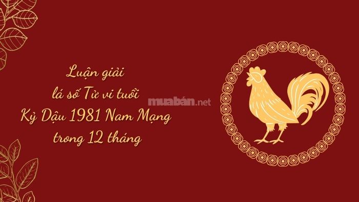 Phân tích lá số tử vi nam mạng tuổi Tân Dậu 1981 cho năm 2025, chúng ta sẽ xem xét từng tháng cụ thể để nhận diện các dấu hiệu trong công việc, tài chính, gia đạo, từ đó giúp gia chủ đưa ra lựa chọn phù hợp.