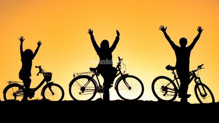 The horoscope for Tân Dậu 1981 male in 2025 shows positive prospects for love and family life.