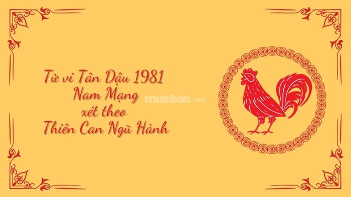 The horoscope for Tân Dậu 1981 male in 2025 based on the heavenly stems and five elements.