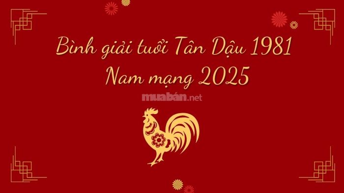 Phân tích tử vi tuổi Tân Dậu nam mạng 2025