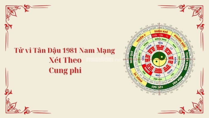 Horoscope for Tân Dậu 1981 Male in 2025 based on House and Palace