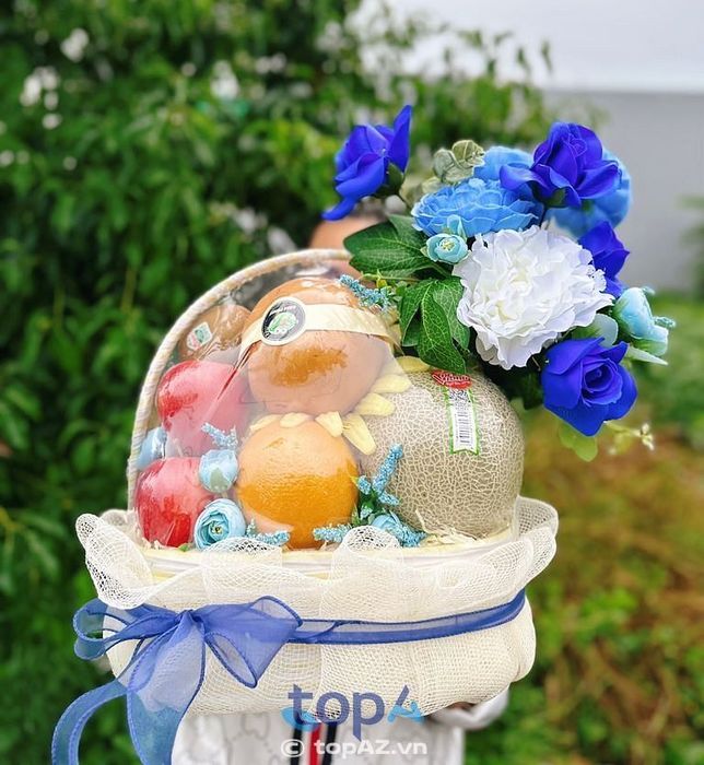 Shop Quà Tặng Trái Cây VOI CON tại TP Bạc Liêu