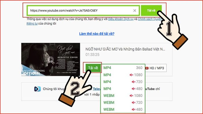 SaveFrom giúp bạn tải video mà không cần phần mềm, chỉ với vài thao tác đơn giản.
