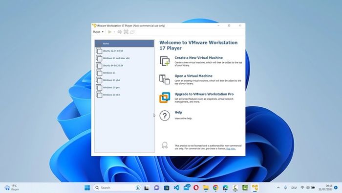 tai-vmware-13