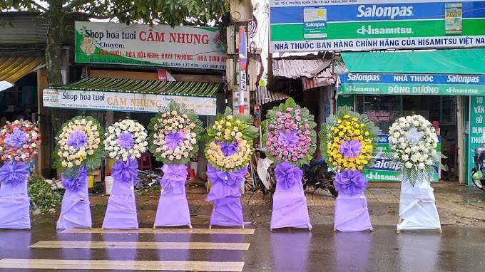 Shop Hoa Tươi Cẩm Nhung tại TP. Gia Nghĩa chuyên cung cấp các mẫu hoa tươi chất lượng cao, phục vụ cho nhu cầu của khách hàng tại khu vực Đắk Nông.