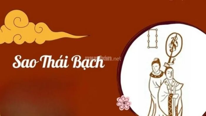 Sao chiếu mệnh của nam mạng Mậu Thân 1968 là sao Thái Bạch, đây là một sao hung có thể mang đến những khó khăn trong công việc và cuộc sống, cần phải hết sức cẩn trọng trong năm nay.