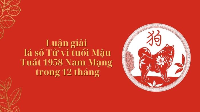 Phân tích lá số tử vi Mậu Tuất 1958 Nam Mạng qua 12 tháng năm 2025