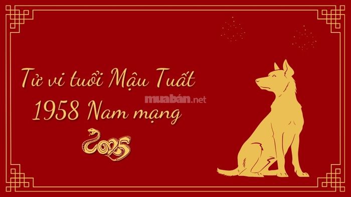 Tử vi năm 2025 của nam mạng Mậu Tuất 1958