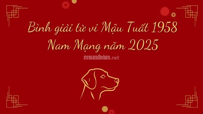 Phân tích chi tiết tử vi Mậu Tuất 1958 Nam Mạng năm 2025