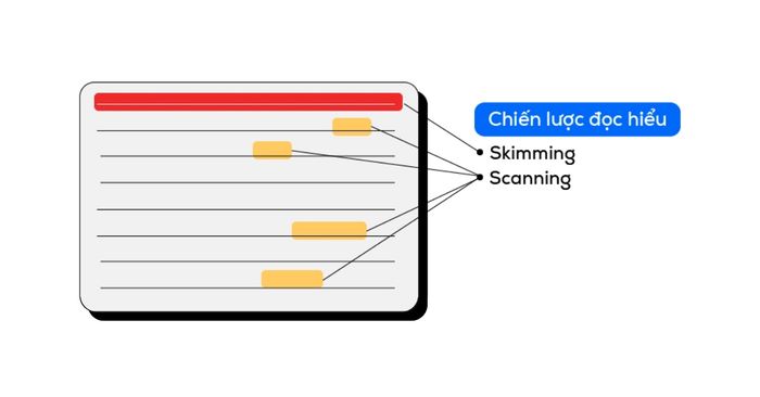 Skimming và Scanning – Hai kỹ thuật đọc quan trọng