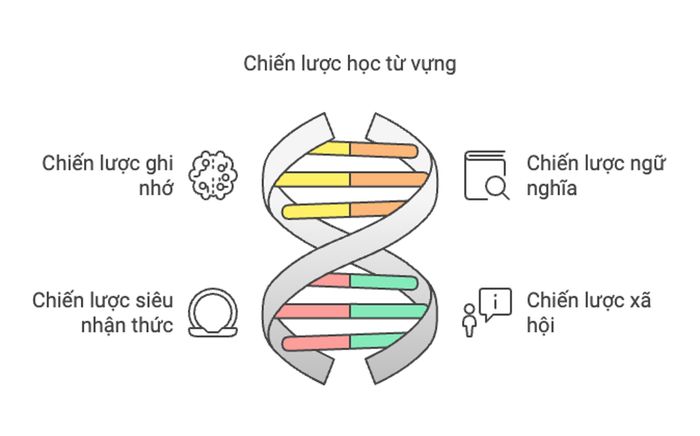 Chiến lược học từ vựng