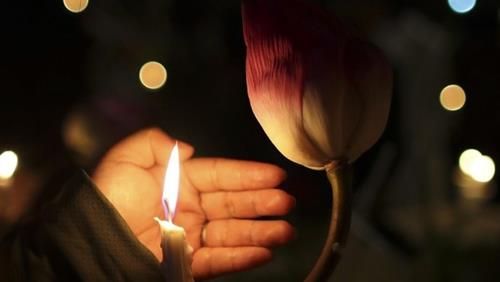 Làm trái ý nguyện của người đã khuất có thể là điều không nên, bởi theo Đạo Phật, cái chết không phải là sự kết thúc mà chỉ là sự chuyển tiếp sang một kiếp sống mới. Những người đã khuất vẫn tồn tại dưới một hình thức khác và rất mong được tôn trọng. Nếu người đã khuất đã bày tỏ rõ nguyện vọng của mình, việc tôn trọng mong muốn của họ sẽ giúp linh hồn được siêu thoát và gia đình có thể sống trong bình an.