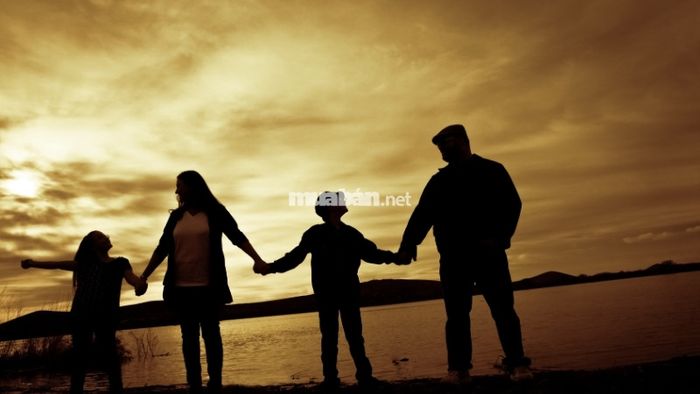 Tình hình gia đạo của Kỷ Dậu 1969 nam mạng trong năm 2025 sẽ có những dấu hiệu tích cực, với nhiều thay đổi thuận lợi trong các mối quan hệ gia đình.