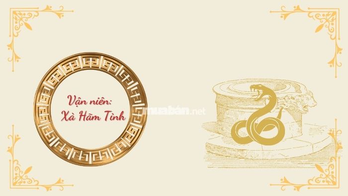 Vận niên của gia chủ tuổi Kỷ Dậu 1969 nam mạng trong năm 2025 là Xà Hãm Tỉnh (Rắn bị nhốt dưới giếng).