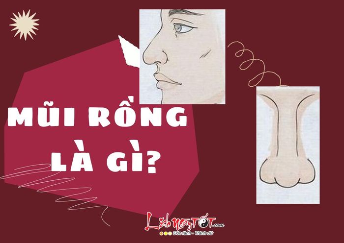 Mũi rồng có đặc điểm như thế nào?