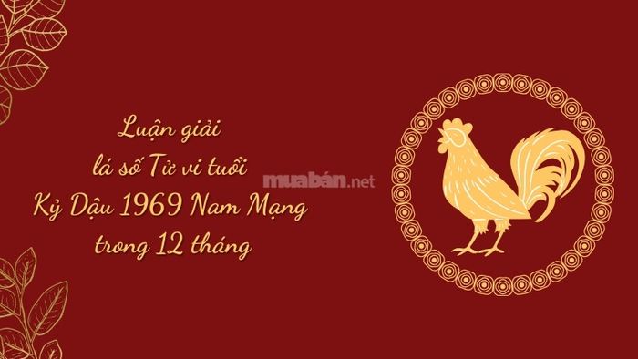Phân tích lá số tử vi tuổi Kỷ Dậu 1969 nam mạng năm 2025 theo 12 tháng