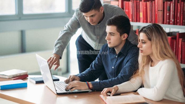Các hình thức thực tập hiện có