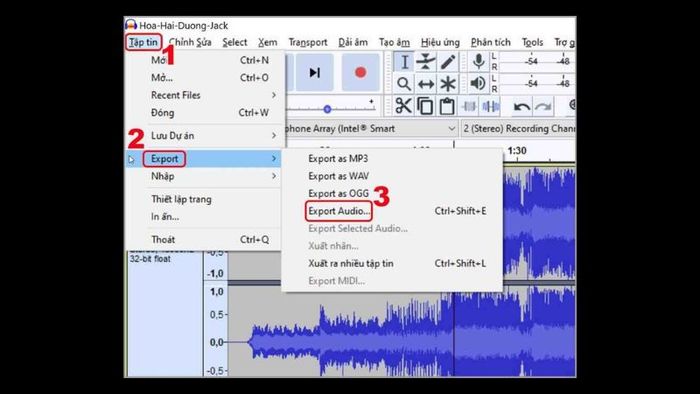 tai-audacity-38