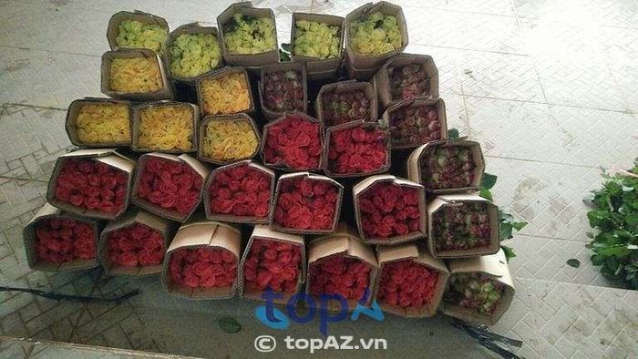 Hoa Tươi Giáp Khôi, Ninh Bình