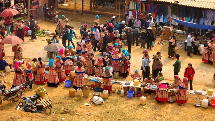Thung lũng hoa Bắc Hà khoe sắc thắm giữa cao nguyên Tây Bắc, mang đến một bức tranh thiên nhiên tuyệt đẹp.
