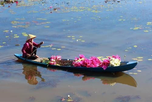 Dự báo tử vi tuần mới của 12 cung hoàng đạo