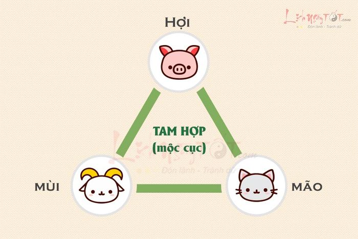 Bộ ba Tam hợp Hợi Mão Mùi