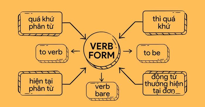 Verb form (dạng động từ)