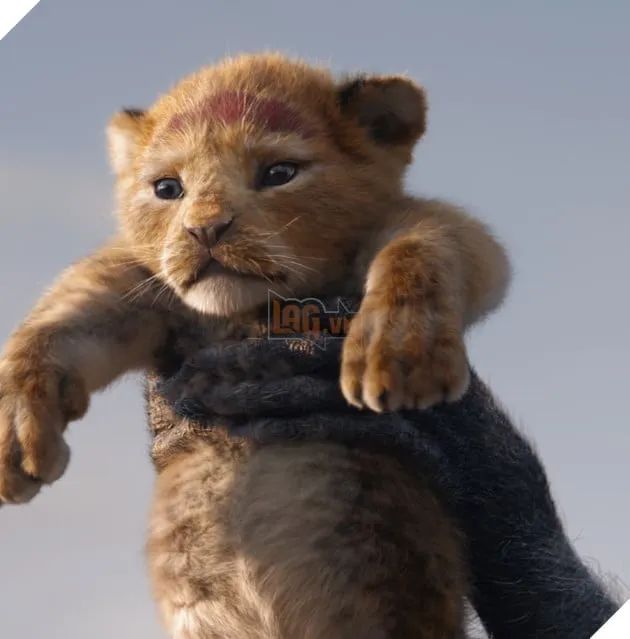 Đạo diễn Barry Jenkins của Mufasa: The Lion King chia sẻ rằng ông sẽ không tiếp tục thực hiện những bộ phim hoàn toàn làm bằng CGI nữa.