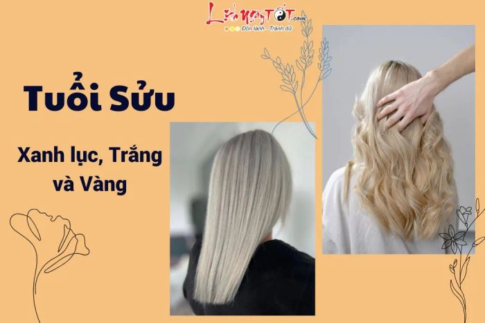 Màu tóc cho người tuổi Sửu năm 2025.