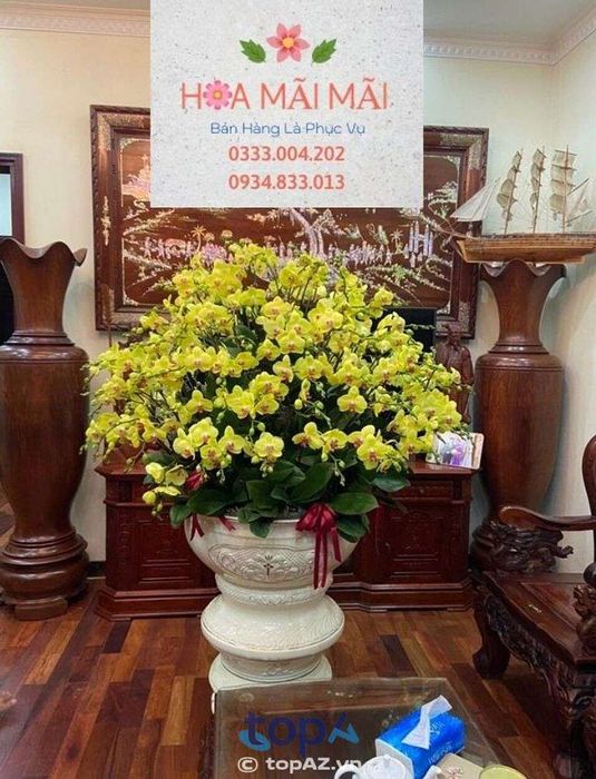 Điện hoa Hưng Yên tại TP. Hưng Yên