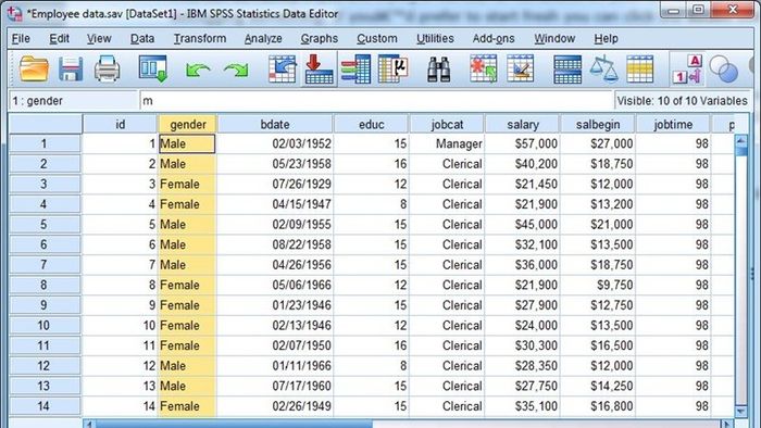 huong-dan-tai-spss-vn-3