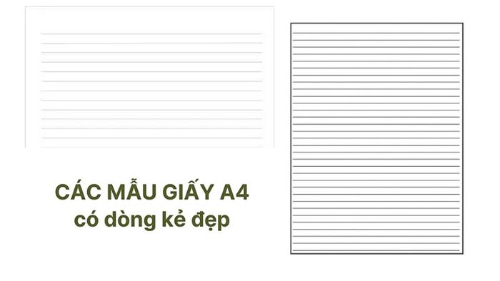 tai-mau-giay-a4-co-dong-ke-cham-2