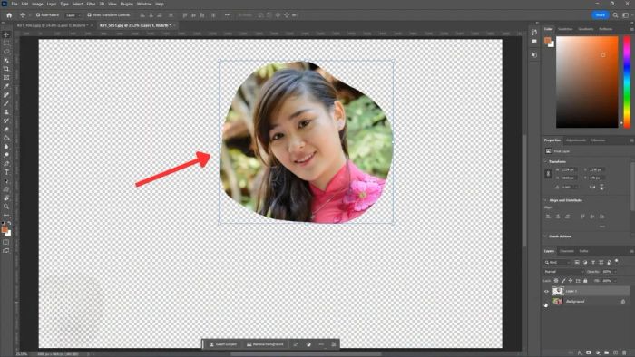 Hướng dẫn cắt ảnh trong Photoshop bằng công cụ Lasso - Bước 4