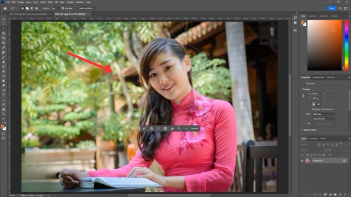 Hướng dẫn cắt ảnh trong Photoshop bằng công cụ Lasso - Bước 3