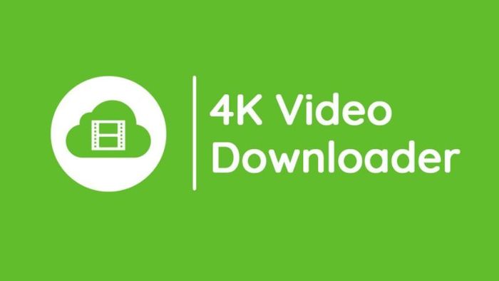 Bạn có thể dễ dàng lựa chọn thư mục lưu trữ video tải xuống và thậm chí tải toàn bộ danh sách phát hoặc kênh Twitch yêu thích của mình. 4K Downloader còn hỗ trợ tải video 3D và 360 độ, mang lại trải nghiệm xem độc đáo hơn. 