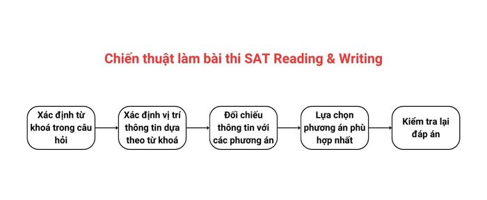 Chiến lược làm bài thi SAT phần Reading và Writing