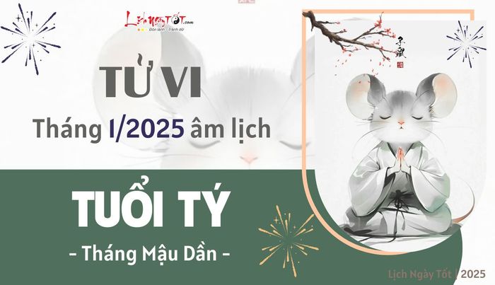 Tử vi tháng 1/2025 cho tuổi Tý âm lịch