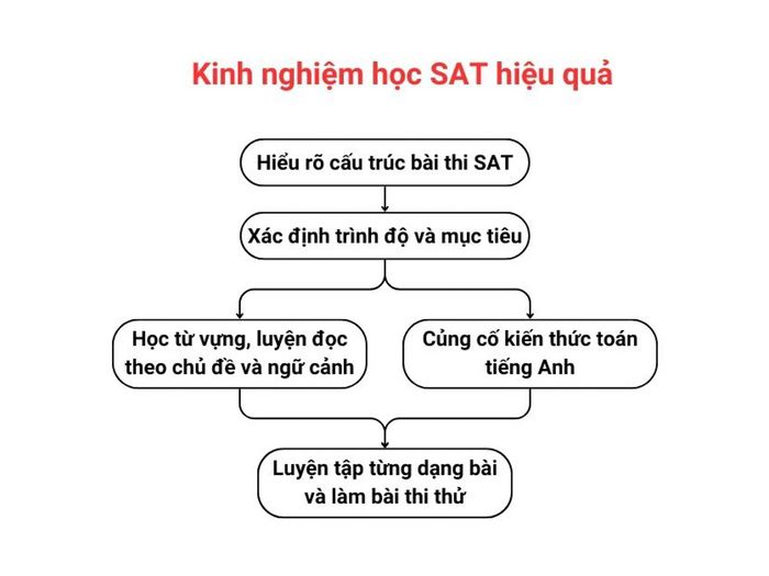Kinh nghiệm ôn thi SAT hiệu quả