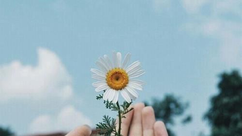 Những việc không nên làm trong cuộc đời 1