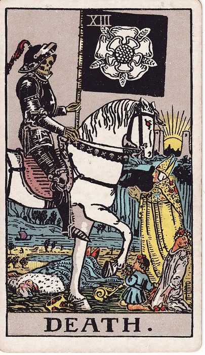 Bói bài tarot năm 2025 - Hổ Cáp