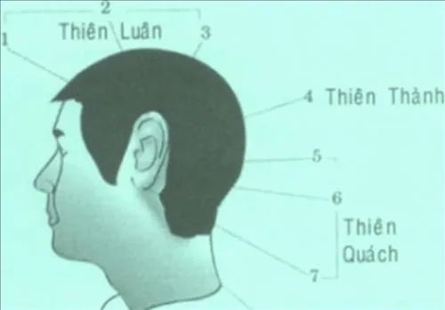 độ tuổi từ 1 đến 7